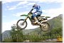 401 - Andrea Girardello - FUN BIKE 1 - MX2 MASTER